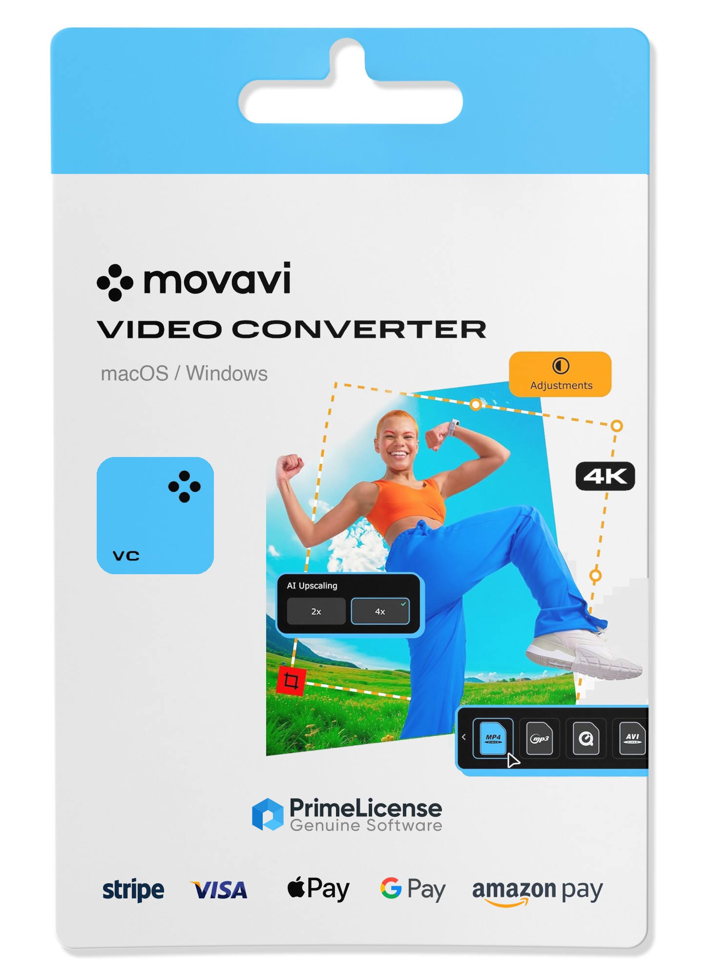 Movavi Video Converter