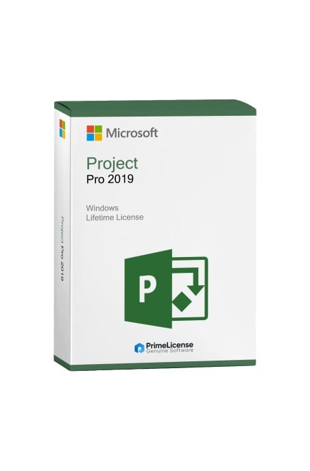 Microsoft Project Pro 2019