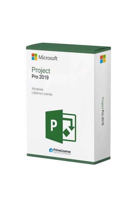 Microsoft Project Pro 2019