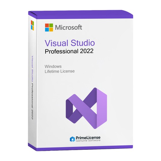 Microsoft Visual Studio Professional 2022