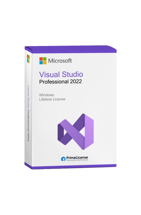 Microsoft Visual Studio Professional 2022