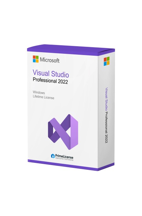 Microsoft Visual Studio Professional 2022