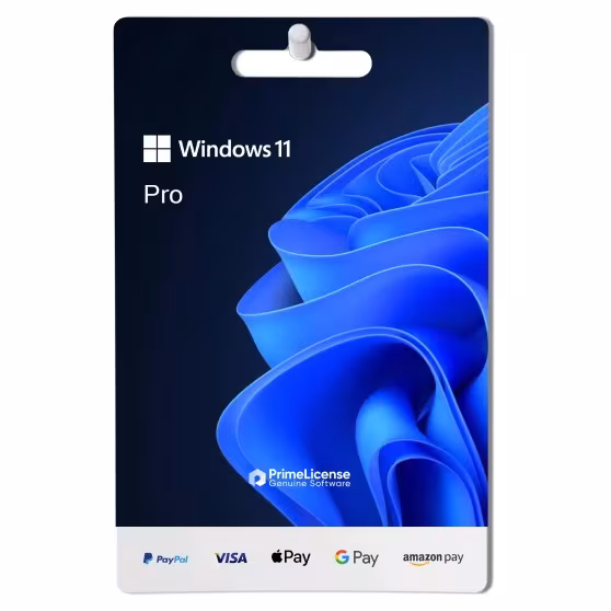 Windows 11 Professional