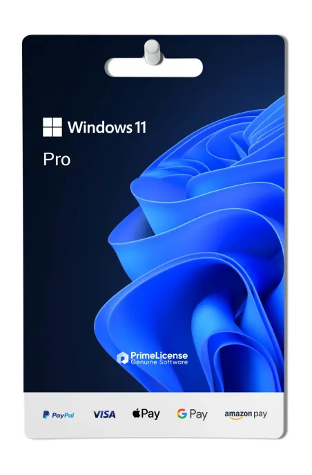 Windows 11 Professional
