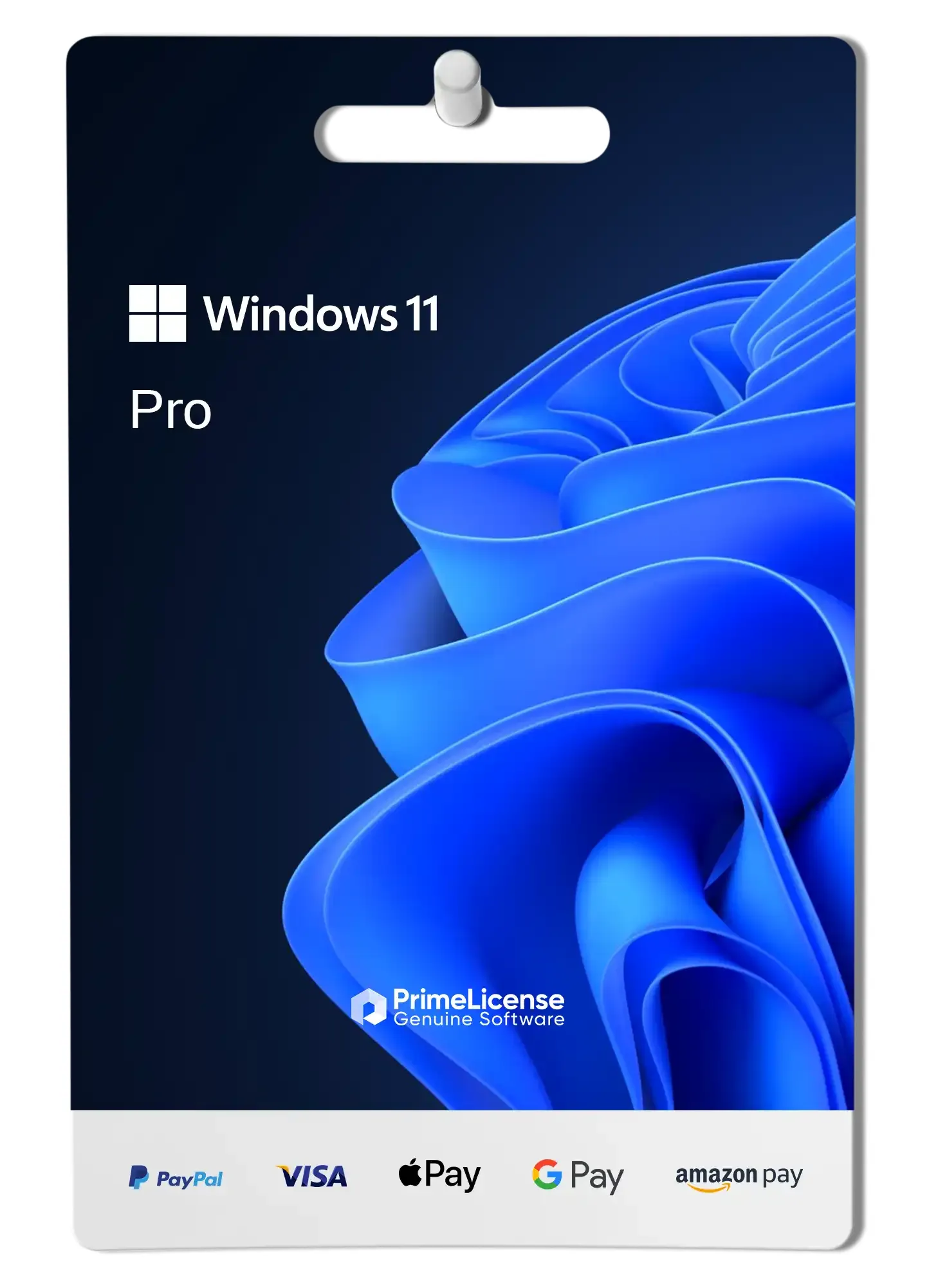 Windows 11 Pro