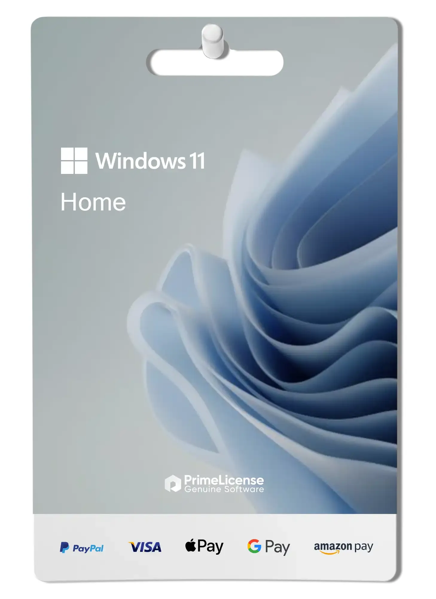 Windows 11 Home